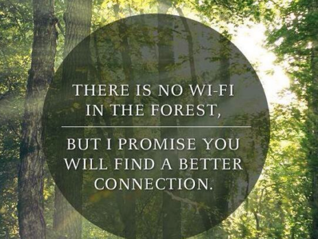 no_wifi_connection_in_forest