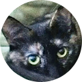 Conni Mainne Avatar