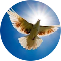 Harkirat Singh Avatar